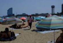 Europe Battles Severe Heatwave as Temperatures Near 40°C, Disrupting Transport and Threatening Wildlife