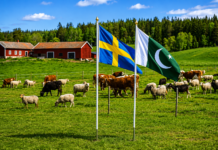 Pakistan, Sweden agree to expand agriculture cooperation; Stockholm backs Pakistan’s global AMR role