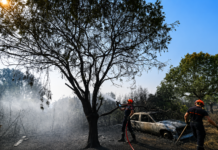 Wildfires Rage Across Spain, France as Extreme Heat Grips Southern Europe