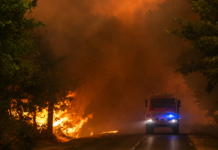 Wildfires Force Mass Evacuations in France and Spain as Heat, Strong Winds Fuel Crisis