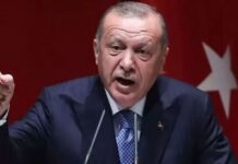 Erdogan warns against Renewed Israeli Escalation in Middle East