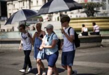 Germany records 14,000 heat-related deaths this summer: govt data