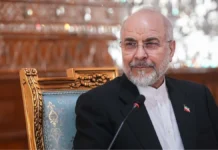 Iran parliament speaker hails ‘new order’ during Iraq visit
